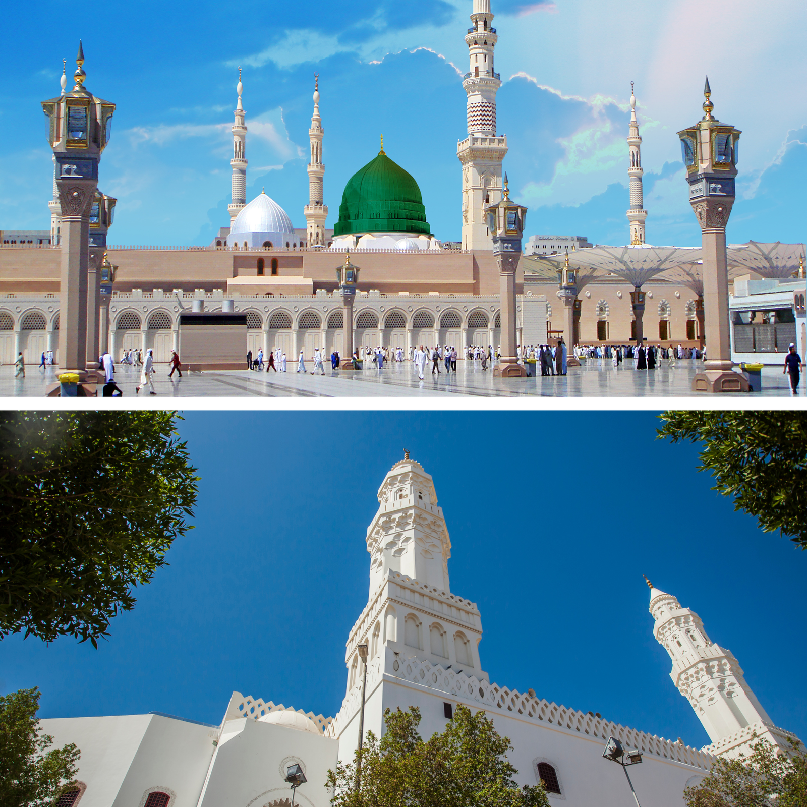 المدينة ↔ مسجد القبلتين